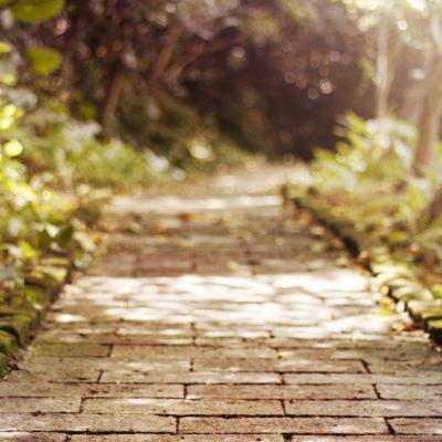 机甲吃鸡模拟器